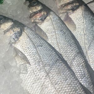 Whole Sea Bass