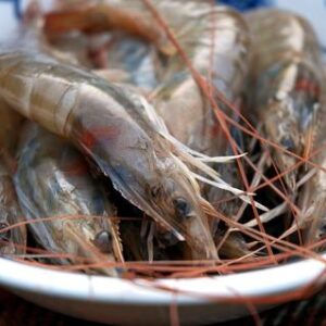 Head-on King prawns 1kg