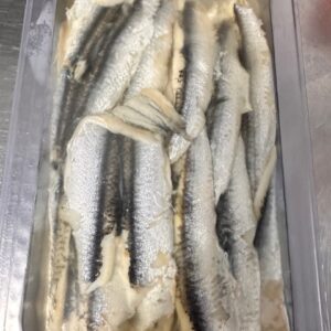 Anchovies in Oil