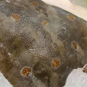 Plaice Fillet 500gm