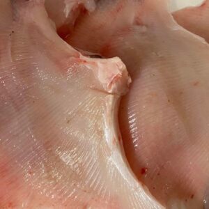 Skate Wing 500gm