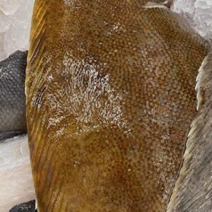 Whole Lemon Sole per kg