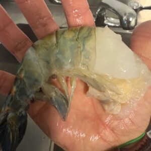 Fresh Water Prawn Tails XL